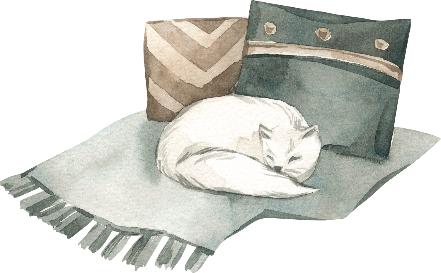 Watercolor throw blanket with pillows and sleeping white cat